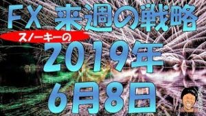 メキシコへの関税は見送り・無期限停止 スノーキー(小手川征也)の来週の戦略 2019年6月8日