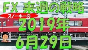 米・中国への追加関税見送りで株高・円安か スノーキー(小手川征也)の来週の戦略 2019年6月29日