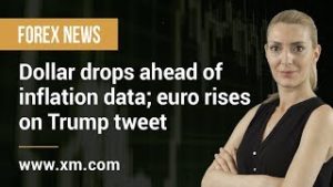 Forex News: 12/06/2019 – Dollar drops ahead of inflation data; euro rises on Trump tweet
