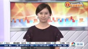 2019年6月20日放送　日経CNBC　『FX経済研究所』