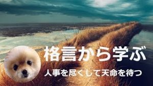 人事を尽くして天命を待つ、高い納得度のトレードをするには。