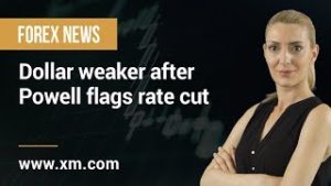 Forex News: 11/07/2019 – Dollar weaker after Powell flags rate cut