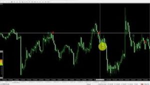 不動式専業トレーダープロフェッショナルスクール（不動修太郎）感想評価