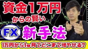 【FX】1万円からの賢い稼ぎ方 勝てる新手法はコレ！投資初心者にロジック!?【視聴者様の手法でガチンコ勝負②】