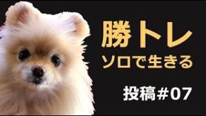 【勝トレ#07】ソロプレイヤーに捧ぐ。