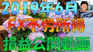 2019年6月のFX不労所得(リピート系FX＆スワップ投資)の損益公開動画