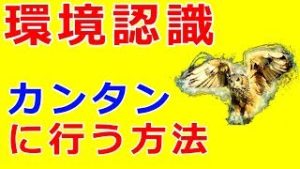FXで稼いでいる人は大体行っていますよ！（梟の眼）