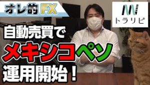 【超簡単】FX、自動売買でメキシコペソの運用を開始します！（トラリピ）