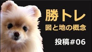 【勝トレ#06】「図と地」の概念が、相場をわかりやすくする。