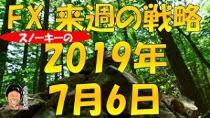 パウエル発言で米7月利下げ後退あるか スノーキー(小手川征也)の来週の戦略 2019年7月6日
