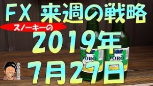 利下げでも下がらないトルコリラ円は買いか スノーキー(小手川征也)の来週の戦略 2019年7月27日