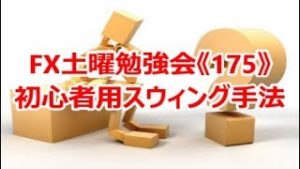 FX土曜勉強会《175》初心者用スウィング手法