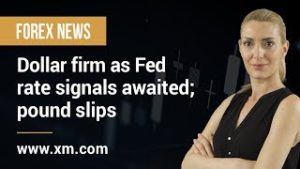 Forex News: 09/07/2019 – Dollar firm as Fed rate signals awaited; pound slips