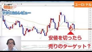 ＦＸ「 ユーロ/ドルに若干の迫力を感じさせる陰線出現！ポンド・豪ドルも色濃く特徴のある動き」【明快！テクニカルレビュー2019/7/17】