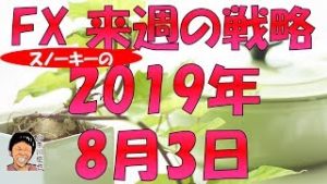 日本は9月に追加緩和の可能性は？ スノーキー(小手川征也)の来週の戦略 2019年8月3日