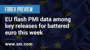 Forex Preview: 21/08/2019 – EU flash PMI data among key releases for battered euro this week