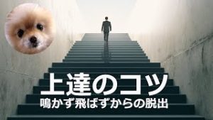 トレード初心者が倍速で上達する３つのコツ