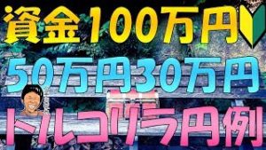 FX トルコリラ円スワップ投資 100万円・50万円・30万円例 利回り期待値など