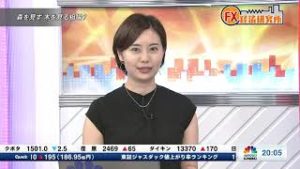 8月27日放送 『FX経済研究所』森を見ず 木を見る相場？）日経CNBC