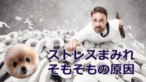 【迷ボ#80】トレードのストレス”そもそもの原因”と解決策