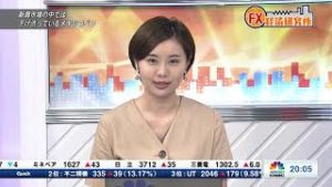 8月14日放送 『FX経済研究所』(新興市場の中では下げ渋っているメキシコペソ）日経CNBC