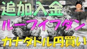 追加入金して ループイフダン カナダドル円B買い運用スタート  利回り期待値など