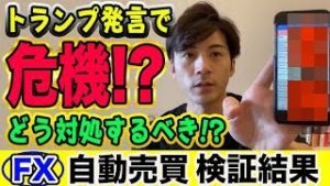 【FX自動売買】トランプ発言で危機!? 対処方法は？初心者さんは証拠金維持率を見るべき!?【短期型10万円運用 利益報告】