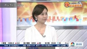 9月3日放送 『FX経済研究所』(Fly To Quality）日経CNBC