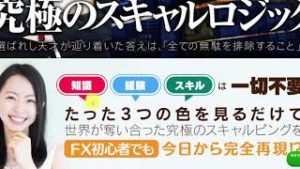 億スキャFX（髙橋良彰メソッド）100億の男の詳細と感想（速報）