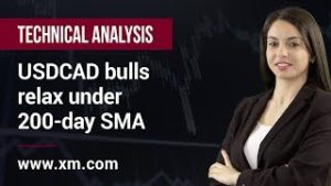 Technical Analysis: 19/09/2019 – USDCAD bulls relax under 200-day SMA