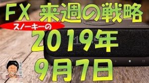 いきなりリスクオン FX スノーキー(小手川征也)の来週の戦略 2019年9月7日