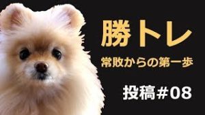 【勝トレ＃08】毎月100ピプス以上負け続けた男が、たった３ケ月で「はじめの一歩」を踏み出せた理由。