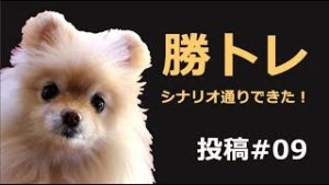 【勝トレ#09】不確実な世界で成功する思考法