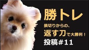【勝トレ#11】損切りから返す刀で大勝利、夜明けを告げるワントレード。