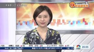 10月8日放送 『FX経済研究所』（玉虫色ってどんな色）日経CNBC