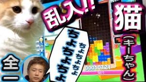 えるまるvs全一vs猫(キーちゃん)【ゲームバトル】