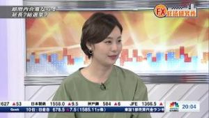 10月24日放送 『FX経済研究所』（期間内合意ならず 延長？総選挙？）日経CNBC