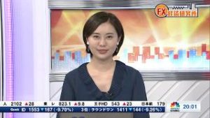 10月11日放送 『FX経済研究所』（本邦機関投資家とドル/円相場）日経CNBC
