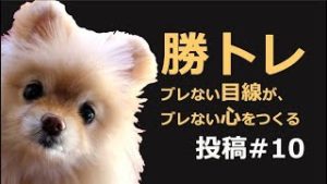 【勝トレ#10】ブレない目線が、ブレない心をつくり好循環を生む。