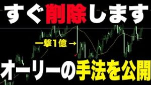 オーリーのFX手法を公開します。エリオット波動とフィボナッチ。