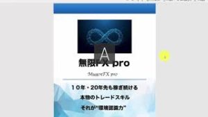 無限FXpro（FXB鈴木晴正教材）の個人的な評価感想