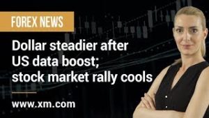 Forex News: 06/11/2019 – Dollar steadier after US data boost; stock market rally cools