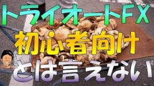 トライオートFX 評判 初心者向けとは言えない