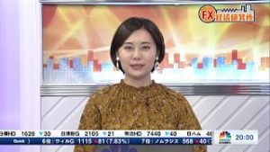 11月22日放送 『FX経済研究所』（君臨する機関投資家）日経CNBC