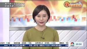 11月29日放送 『FX経済研究所』（専門家による来年の相場見通しの読み方）日経CNBC