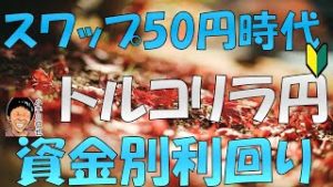 スワップ50円版 FX トルコリラ円スワップ投資 100万円・50万円・30万円例 利回り期待値など