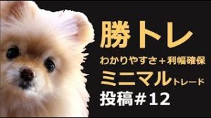 【勝トレ#12】わかりやすさ＋利幅両立のミニマルトレード。