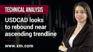 Technical Analysis: 15/11/2019 – USDCAD looks to rebound near ascending trendline