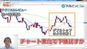 ＦＸ「ユーロ/ドルはダブルトップのような形に！時間経過と共にチャート悪化で下値を試す展開か」【明快！テクニカルレビュー2019/11/13】