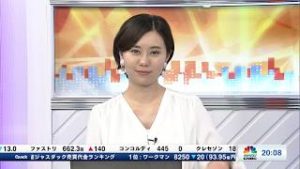 11月21日放送 『FX経済研究所』（英総選挙の情勢固まる ポンド相場の見通しは？）日経CNBC